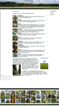 Mobile Screenshot of baumschule.biz